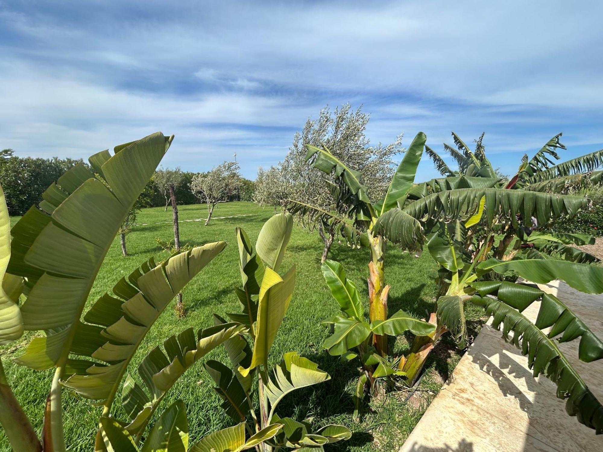 Baglio il Gelso e l'Ulivo appartamento il Carrubo Reitani Esterno foto